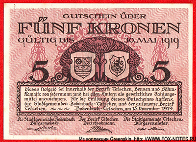 Stadt Bodenbach 5 Kronen 1919